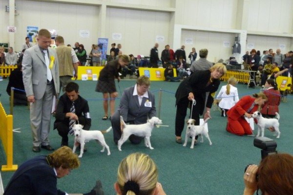 Svetova vystava Blava 2009 1 (600 x 400).jpg