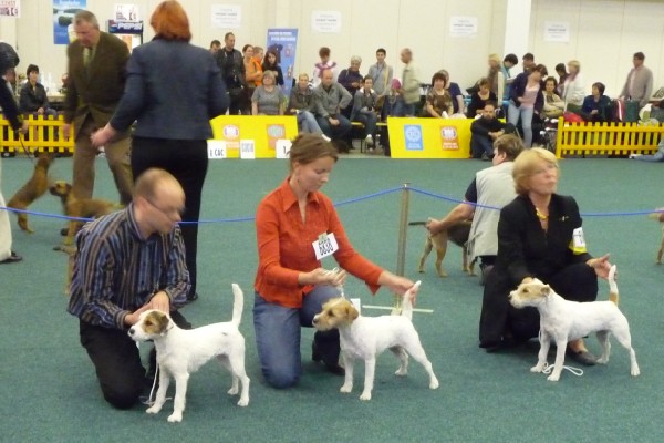Svetova vystava Blava 2009 2 (600 x 400).jpg