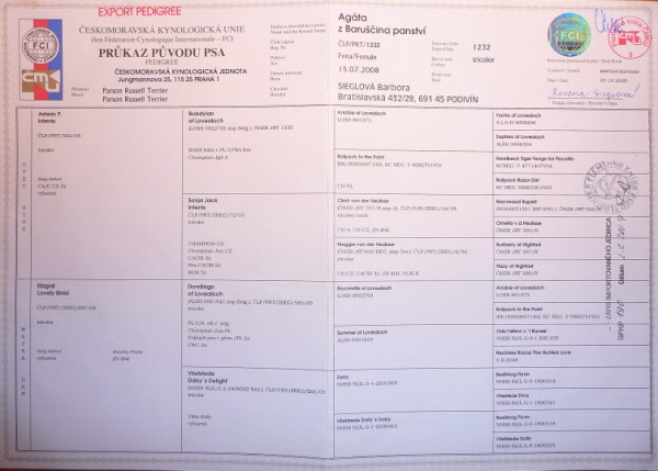 EP 0 (600 x 429).jpg