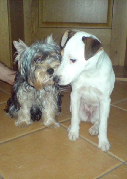 9. S Felinou (428 x 600).jpg