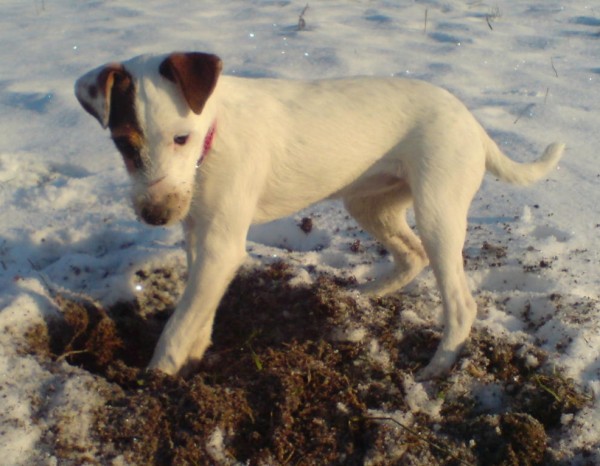 2. To je ono (600 x 466).jpg