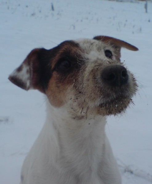 1. Vysledok mojej zaluby (494 x 600).jpg