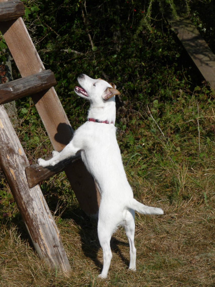 3. foto JuPi1 029 (855 x 1140).jpg