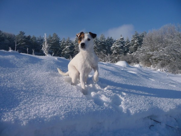 Valcianska dolina 2 (600 x 450).jpg
