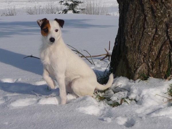 Valcianska dolina 5 (600 x 450).jpg