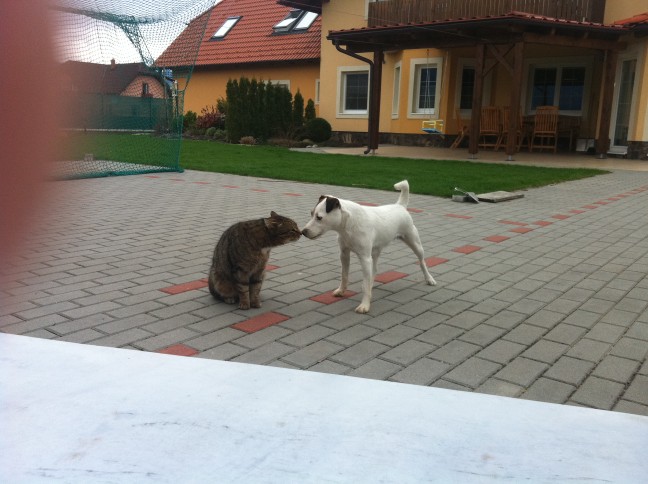 Cora a Muro :-)))