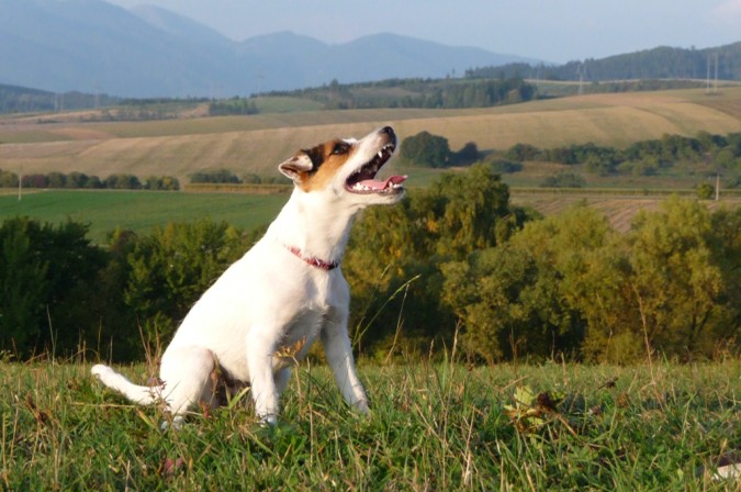 foto JuPi 079 (675 x 448).jpg