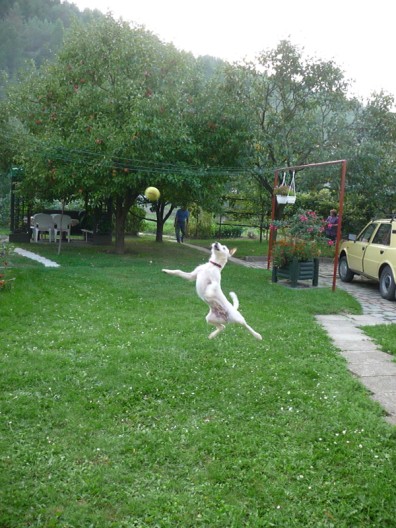 foto JuPi 103 (396 x 528).jpg