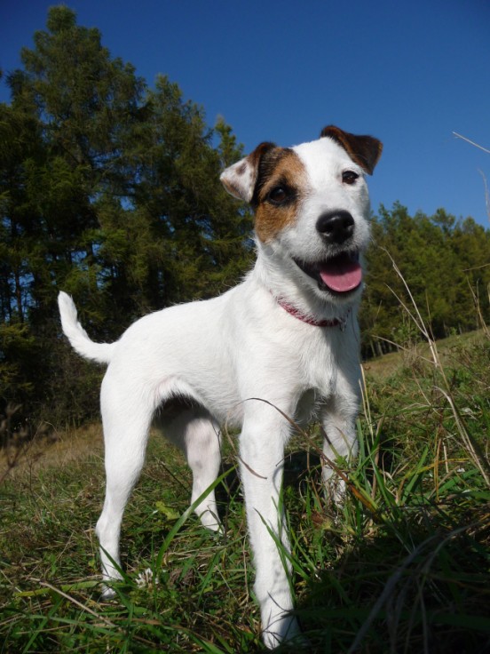 foto JuPi1 114.jpg