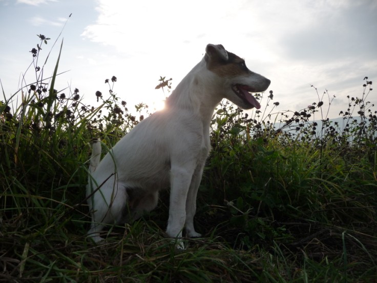foto JuPi1 183.jpg