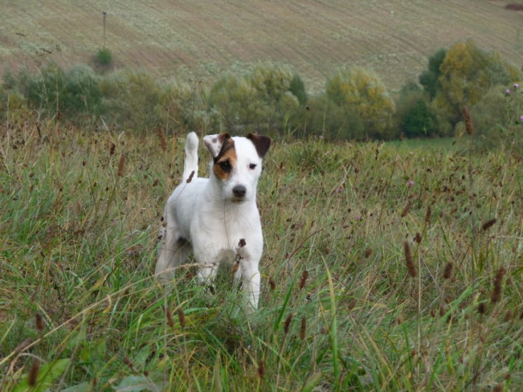 foto JuPi1 185v.jpg