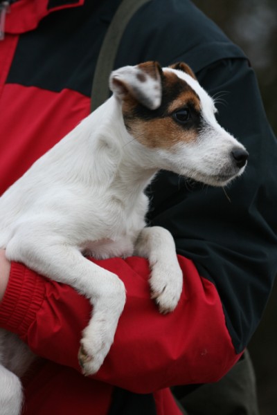 2. Jesen2008 1A (400 x 600).jpg