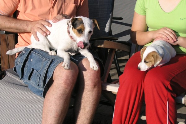 Boogee2 (600 x 400).jpg