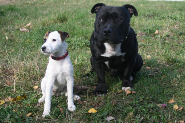 4. Cora + Dodo A (600 x 400).jpg