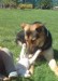 6. Cora a Dora 1 (264 x 369).jpg