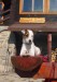 Chata pod Magurou 112009 (428 x 600).jpg
