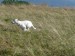 foto JuPi1 121.jpg