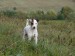 foto JuPi1 185v.jpg