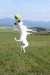 6. Cora 20092009 082A (400 x 600).jpg