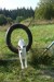 Cora 20092009 065A (171 x 258).jpg