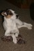 2. Zima2008 1A (400 x 600).jpg