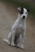 4. Jesen2008 2A (400 x 600).jpg